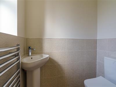 Picture 36